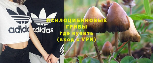 первитин Алексеевка
