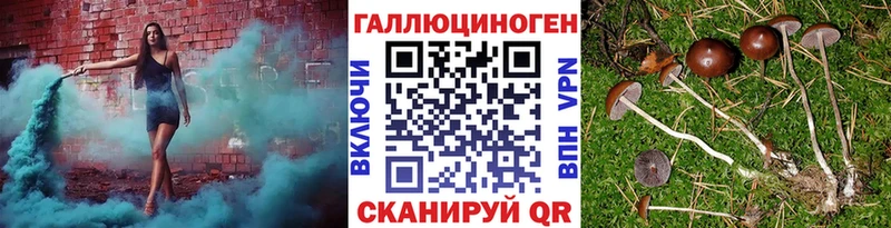 Галлюциногенные грибы прущие грибы  где купить наркоту  Любим 
