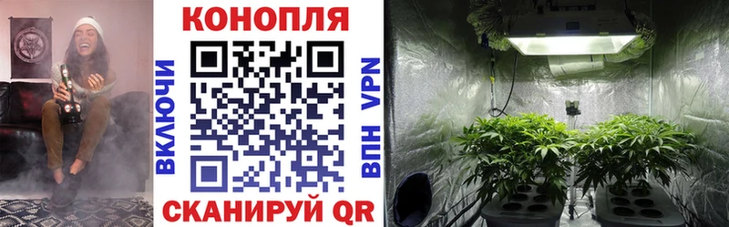 Каннабис индика  Любим 